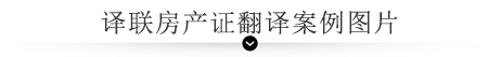 譯聯翻譯案例指示圖