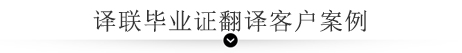  譯聯翻譯案例指示圖